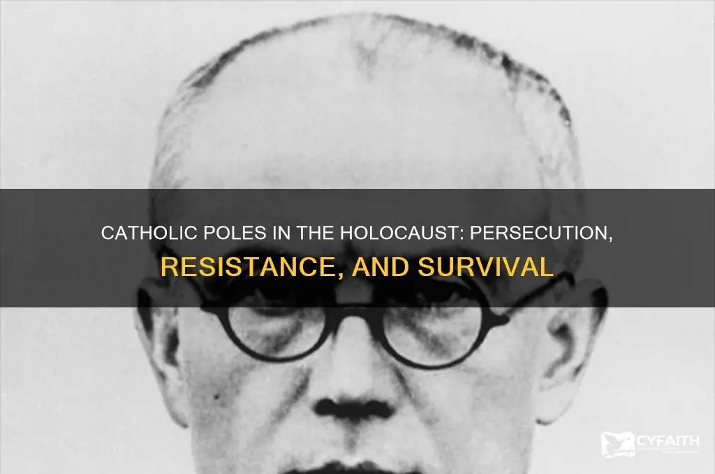 what happened to catholic poles in the holocaust