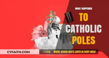 The Decline of Catholic Poles: Unraveling a Cultural and Religious Shift