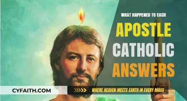 The Fate of the Apostles: Catholic Insights on Their Journeys