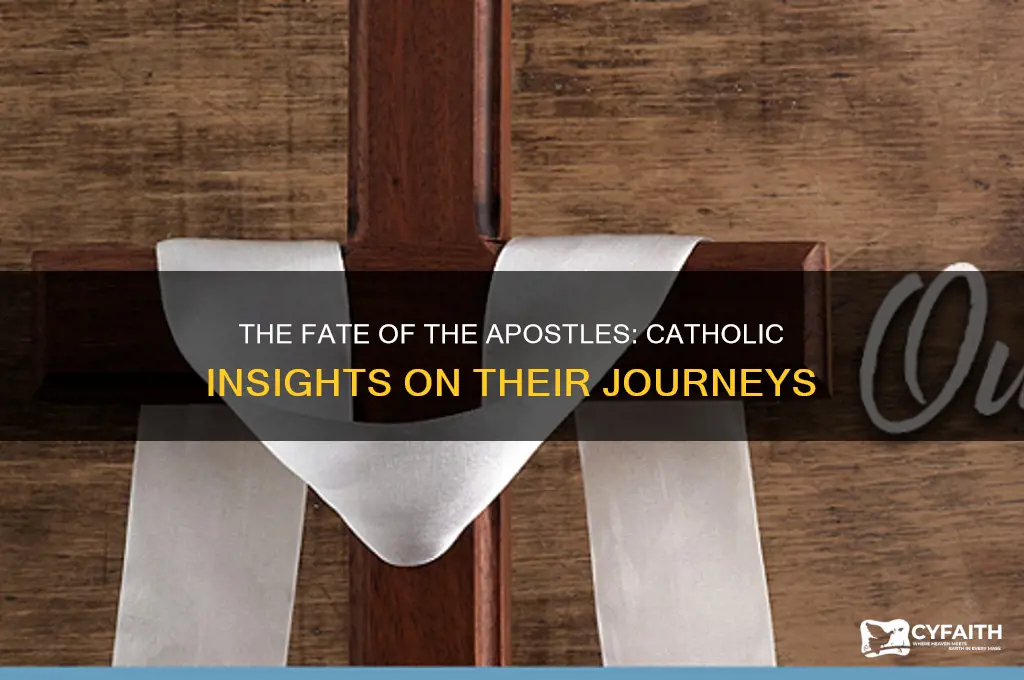 what happened to each apostle catholic answers