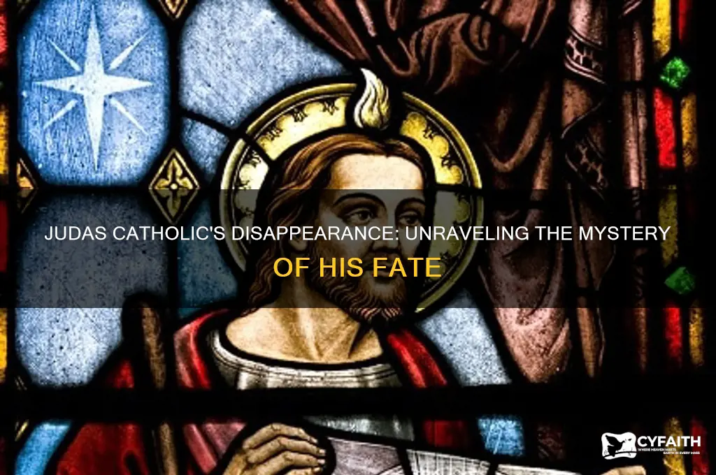what happened to judas catholic
