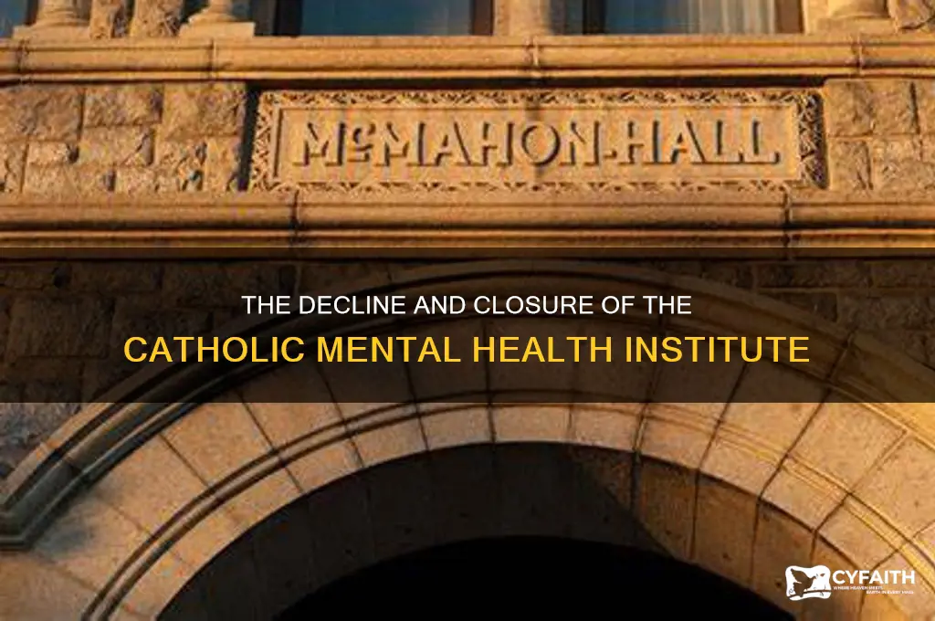 what happened to the catholic mental health institute
