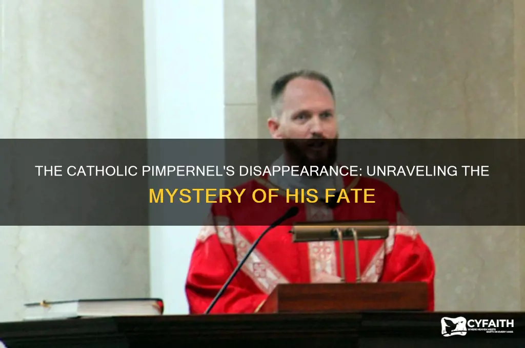 what happened to the catholic pimpernel