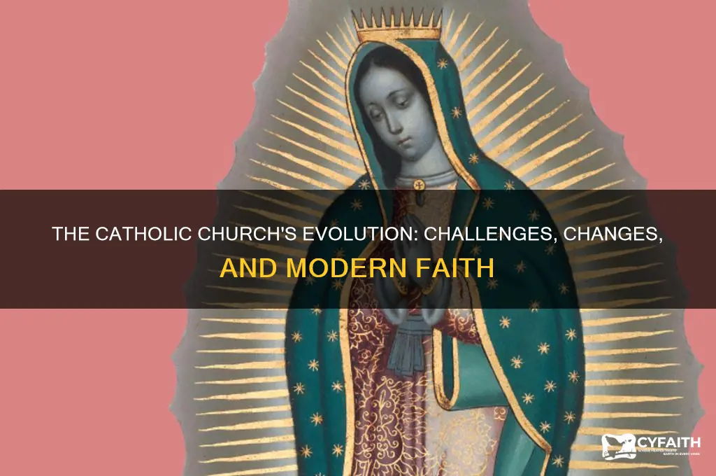 what happened to the catholic religion