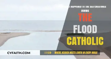 Catholic Perspective: Sea Creatures' Fate During the Great Flood