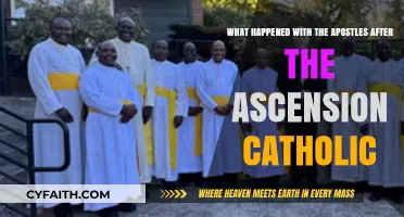 Apostles' Journeys: Catholic Insights Post-Ascension Legacy and Missions