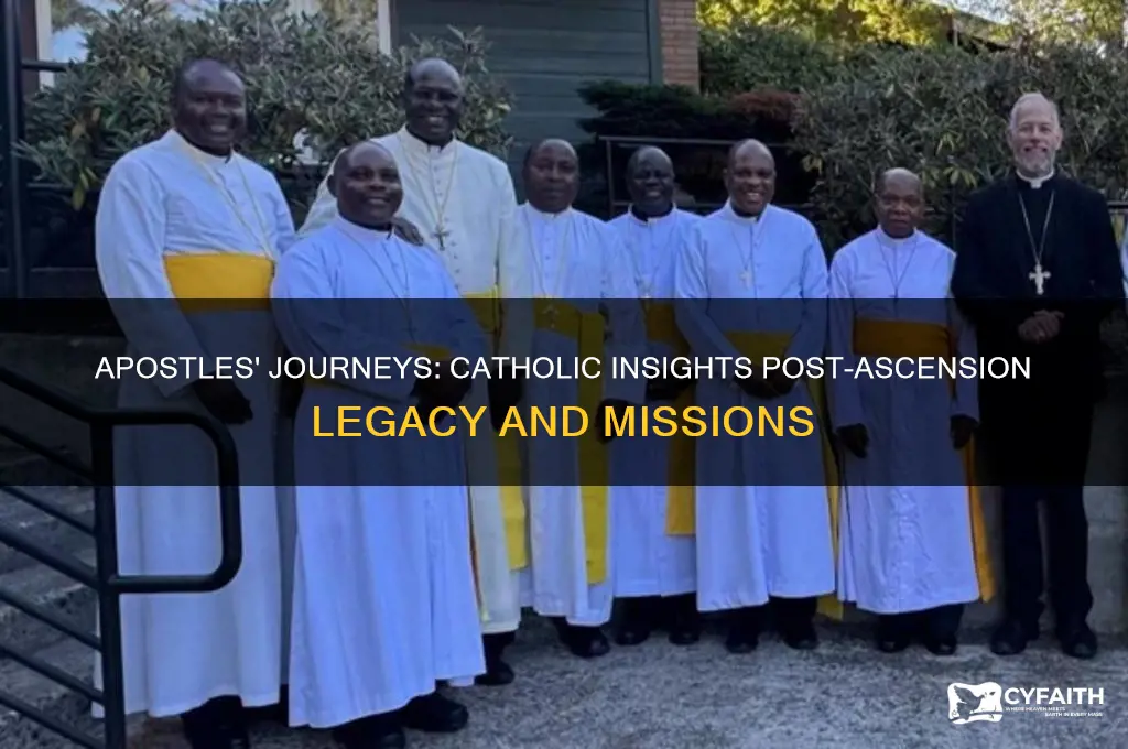 what happened with the apostles after the ascension catholic