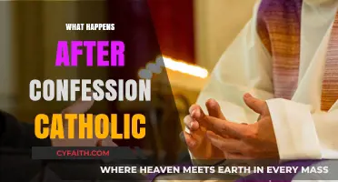 Catholic Confession Aftermath: Grace, Reconciliation, and Spiritual Renewal Explained