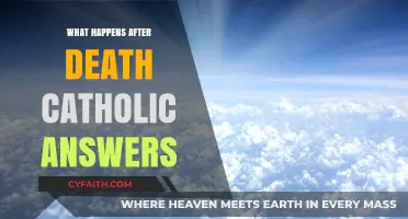 Catholic Teachings on Life After Death: What Awaits Us Beyond