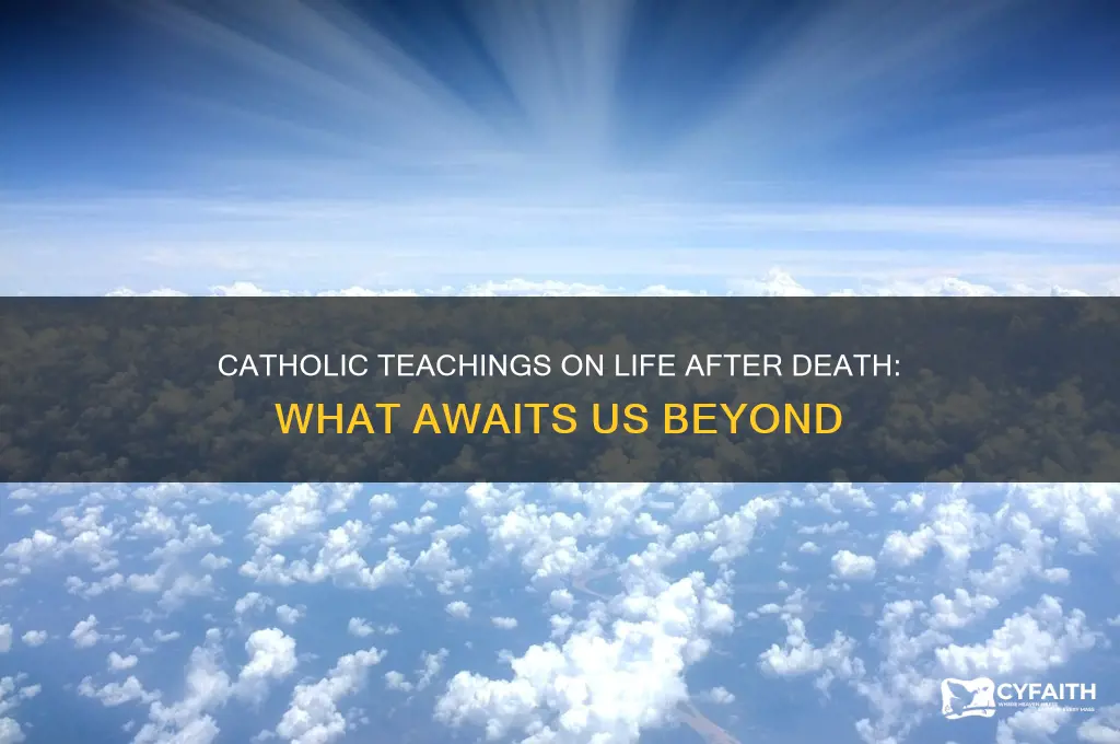 what happens after death catholic answers