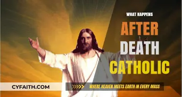Catholic Teachings on Life After Death: Eternity, Judgment, and Salvation