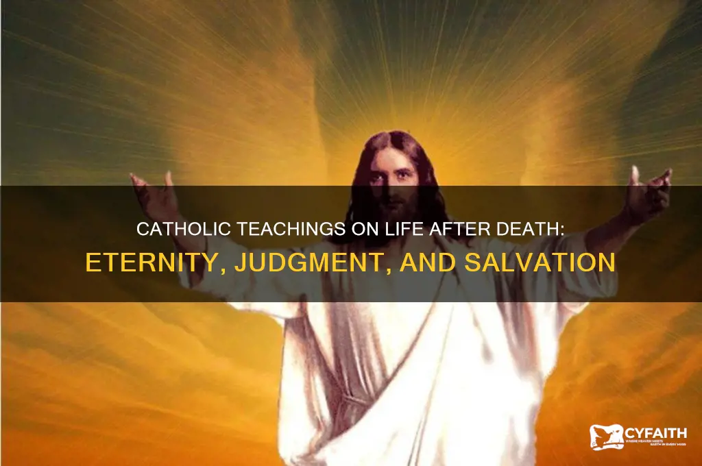 what happens after death catholic