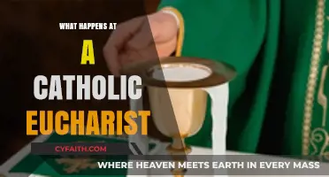 Understanding the Sacred Rituals of a Catholic Eucharist Celebration