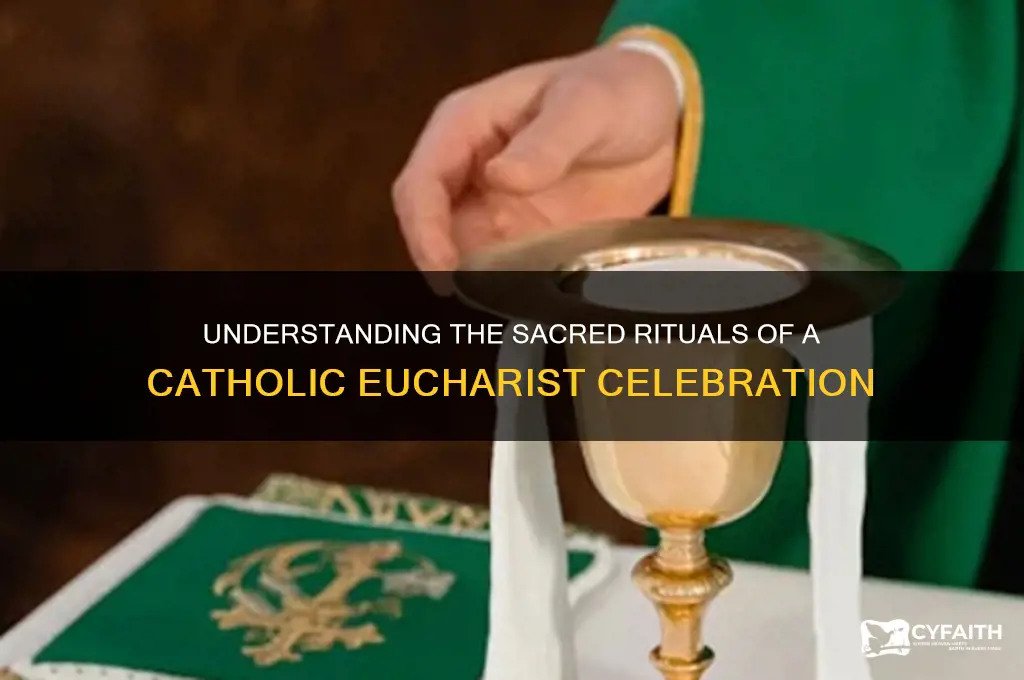 what happens at a catholic eucharist
