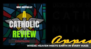 Understanding the Catholic Review Process: Insights and Expectations