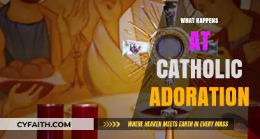 Understanding Catholic Adoration: Rituals, Prayers, and Spiritual Connection Explained