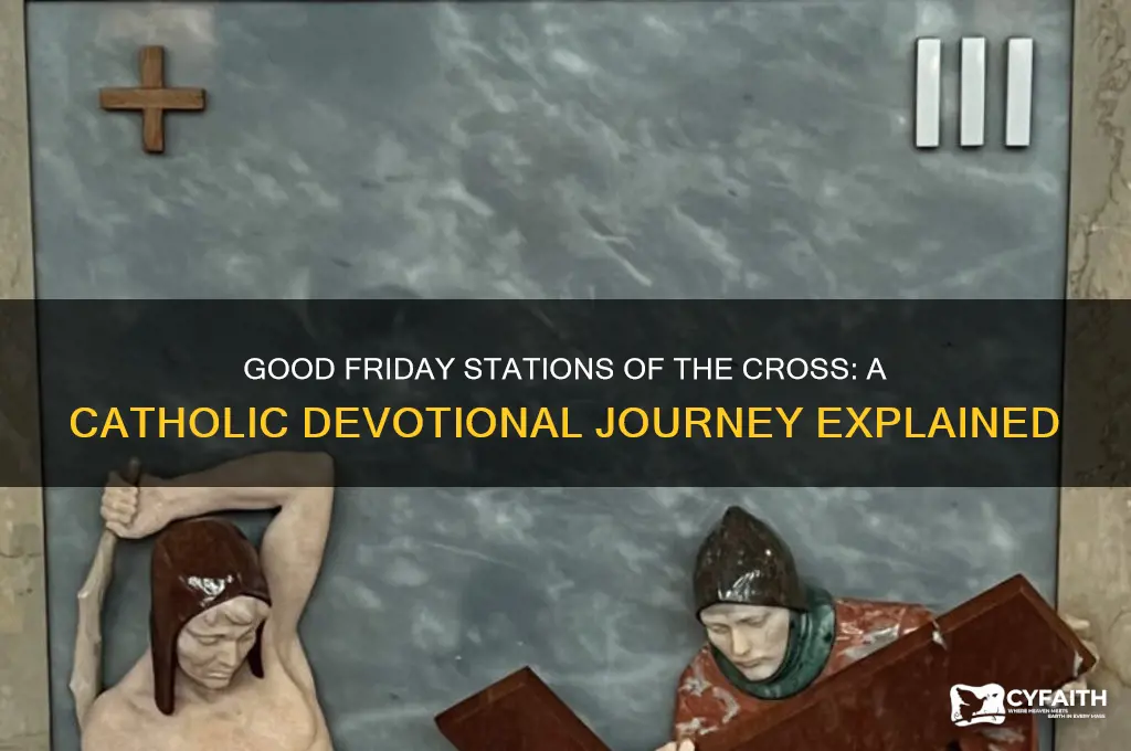what happens at good friday stations of cross service catholic