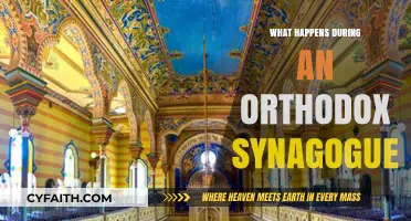 Inside an Orthodox Synagogue: Rituals, Prayers, and Traditions Explained