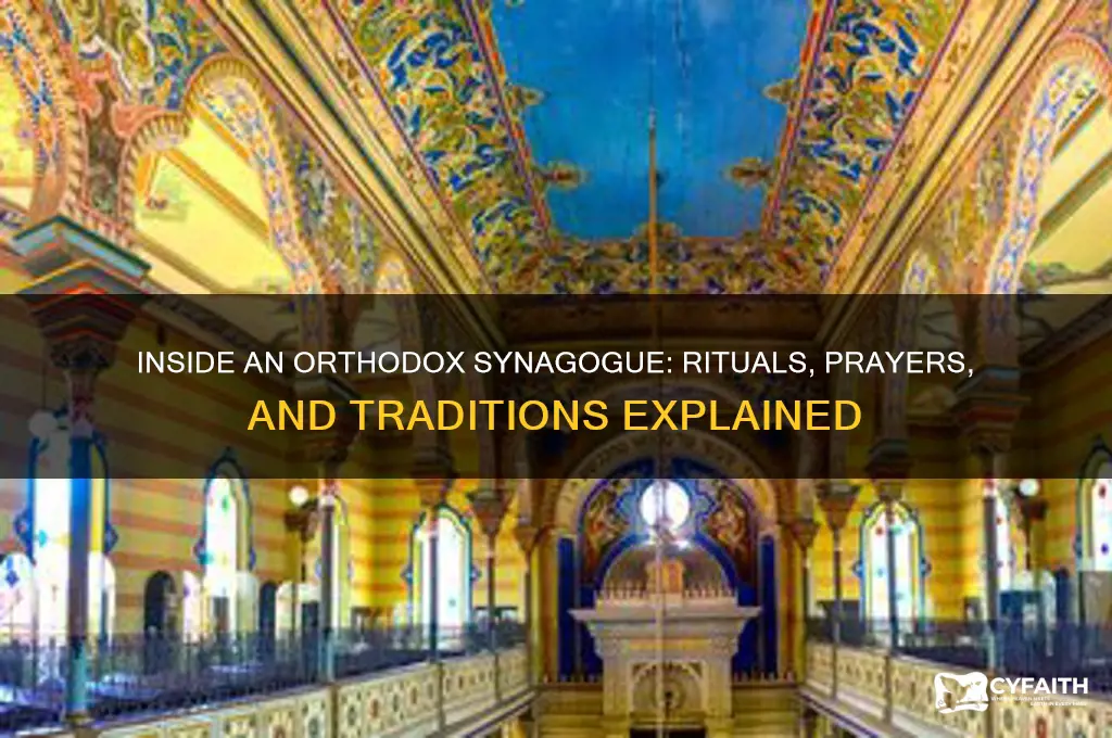 what happens during an orthodox synagogue