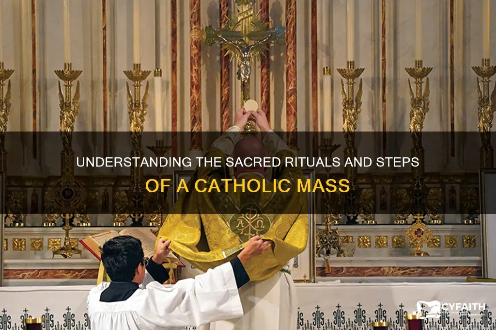 what happens during catholic masd