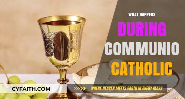 Understanding the Sacred Ritual: What Happens During Catholic Communion