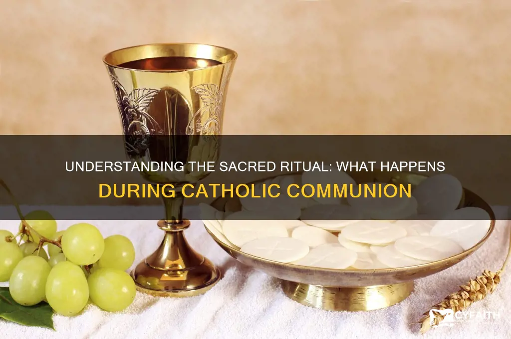 what happens during communion catholic