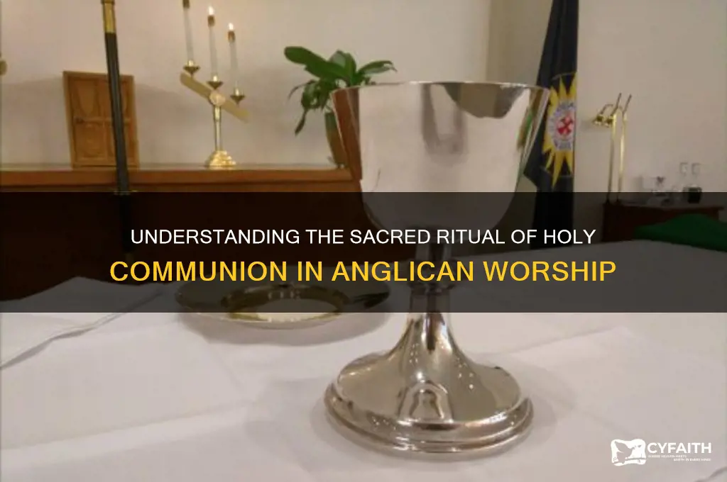 what happens during holy communion in an anglican church