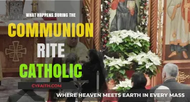 Understanding the Catholic Communion Rite: Rituals, Meaning, and Significance