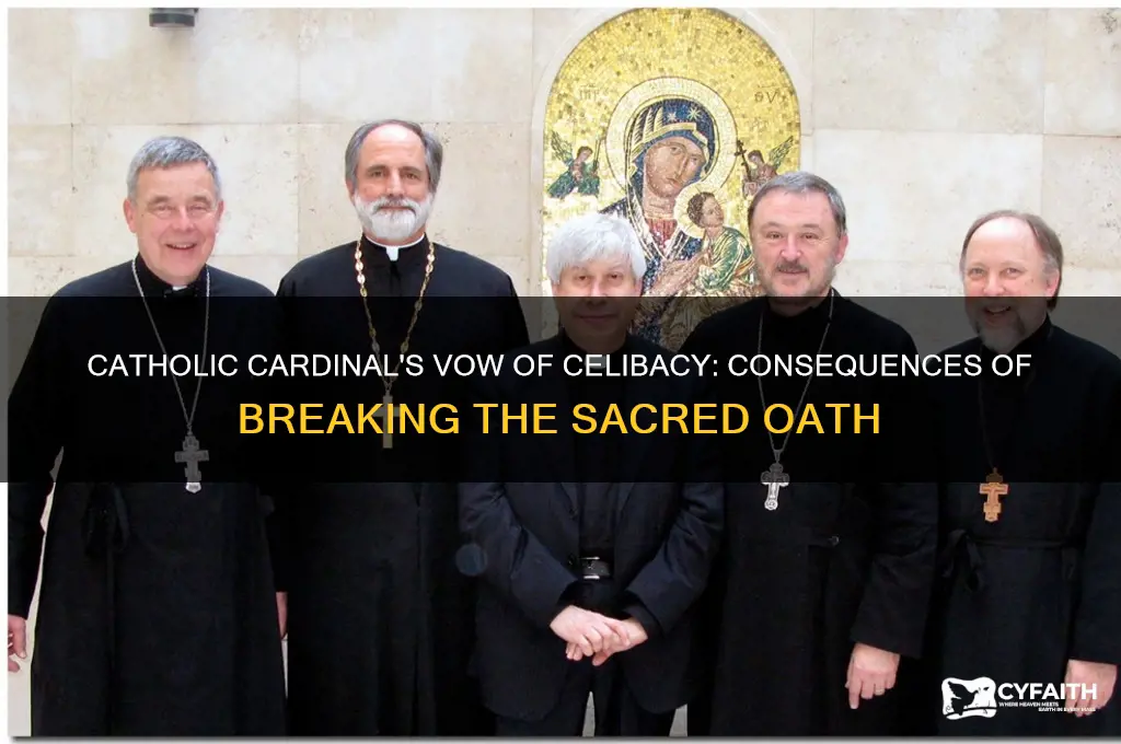 what happens if a catholic cardinal sleeps with