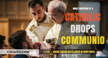 What Happens When Catholics Accidentally Drop the Eucharist?