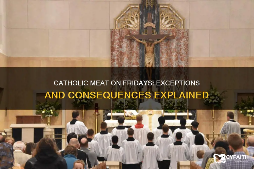 what happens if a catholic eat meat on friday exceptions