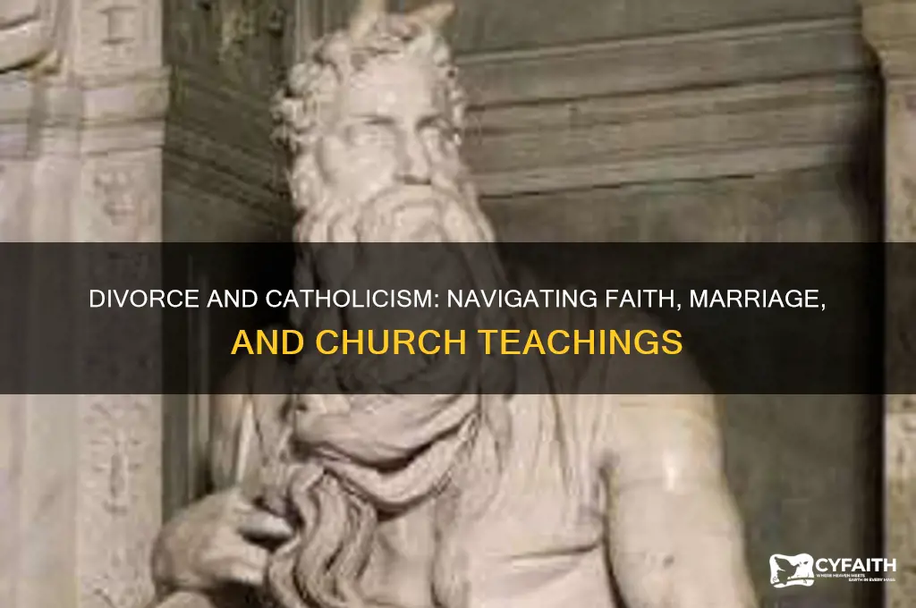 what happens if a catholic gets divorced