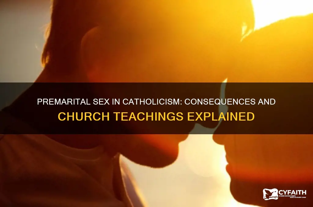 what happens if a catholic has sex before marriage