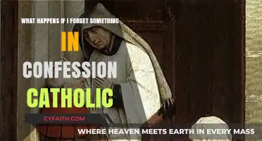 Forgotten Sins in Confession: Catholic Guidance and Peace of Mind