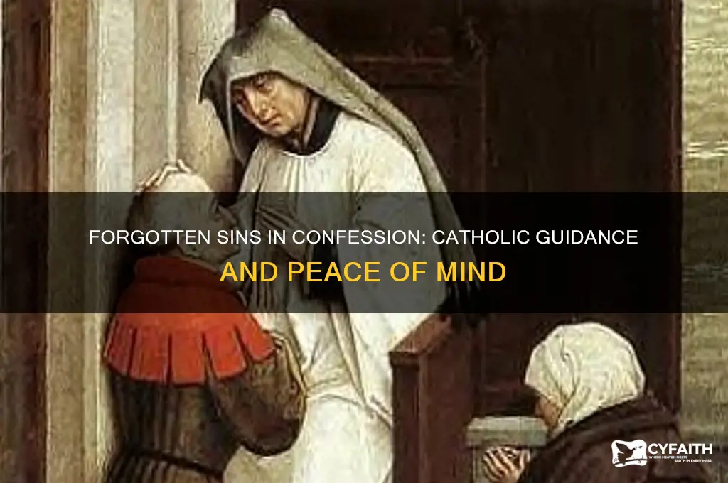 what happens if i forget something in confession catholic