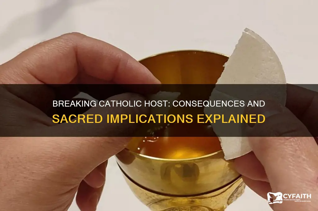 what happens if the host breaks catholic