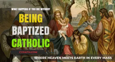 Unbaptized Catholics: Exploring the Afterlife Without the Sacrament