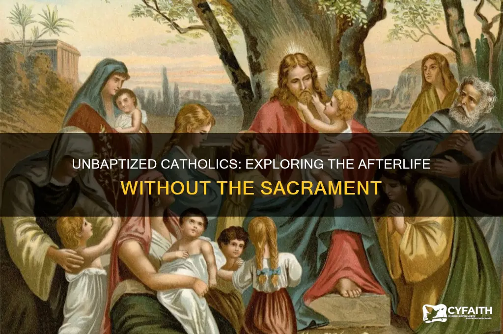 what happens if you die without being baptized catholic