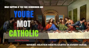 Communion for Non-Catholics: Understanding the Practice and Its Implications