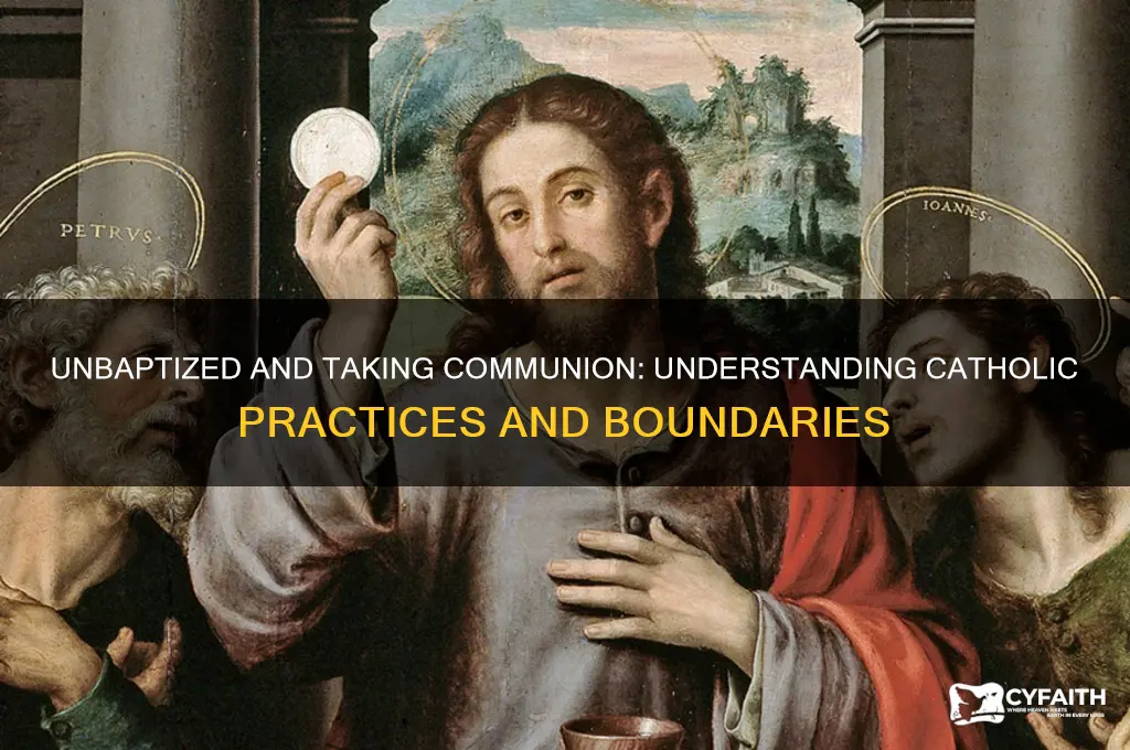 what happens if you take communion without being baptized catholic