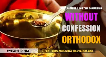 Communion Without Confession: Orthodox Perspectives on Preparation and Participation