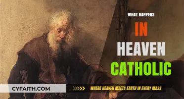 Understanding Catholic Teachings: Life, Joy, and Eternity in Heaven