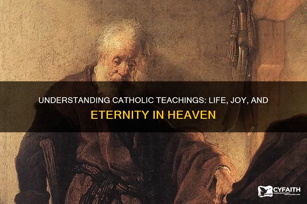 what happens in heaven catholic