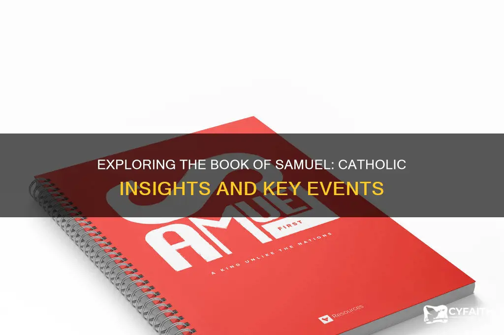 what happens in the book of samuel catholic