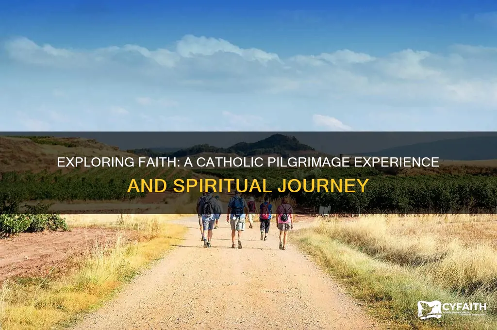 what happens on a catholic pilgrimage