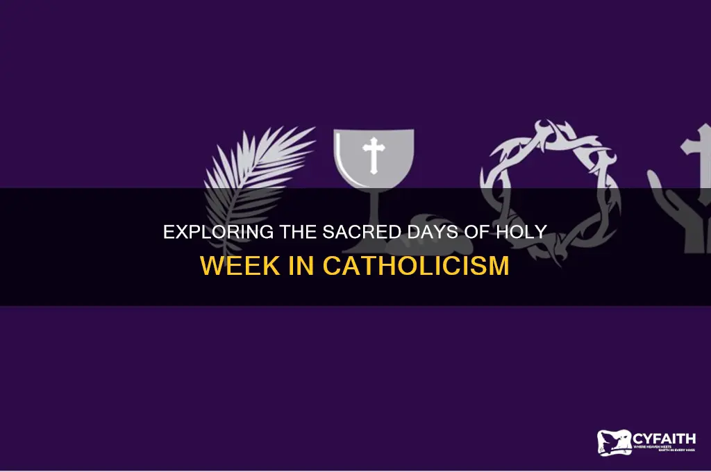 what happens on the days of holy week catholic