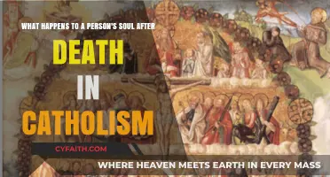 Catholic Teachings on the Soul's Journey After Death Explained