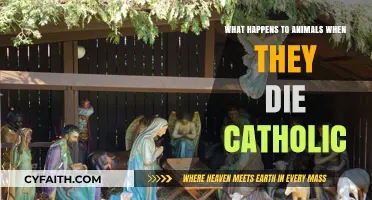 Catholic Perspective: The Fate of Animals After Death Explored
