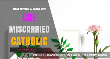 Catholic Perspective: Understanding the Fate of Miscarried Babies