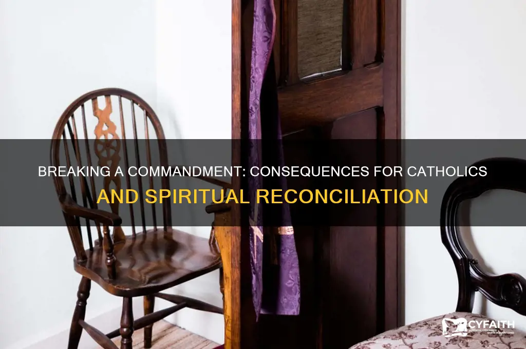 what happens to catholics if you break one commadnment